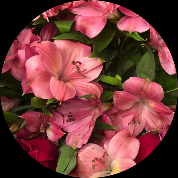 mvbfinds379